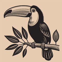 Toucan bird. Old vintage engraving illustration. Hand drawn outline graphic. Logo, emblem, icon. Isolated object, cut out. black and white  © Victoria