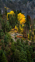 Fall Colors in Colorado - 753159724