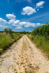 A pathway in the South Downs with a blue sky overhead - 753161186