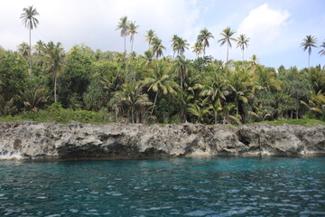 sea view with cliffs covered with coconut trees