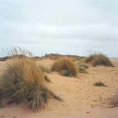 Grass covered dunes. Ai generative.