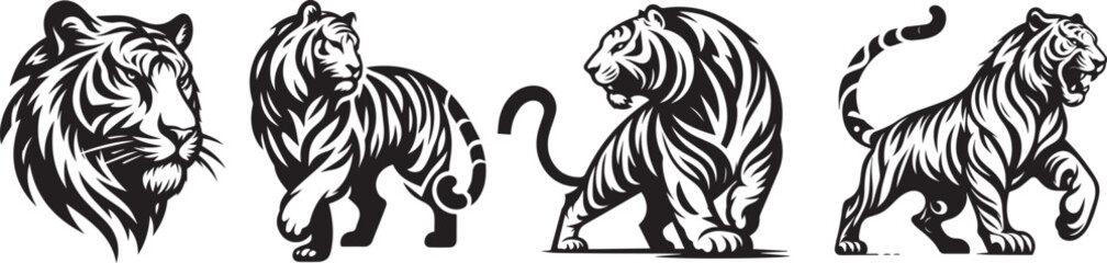 tigers, menacing dangerous full silhouettes ready to attack, and head alone, black vector graphic