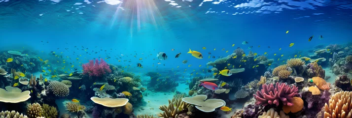 Crédence de cuisine en verre imprimé Récifs coralliens The Majestic Underwater World: A Vibrant and Abundant Coral Reef Teeming with Sea Life