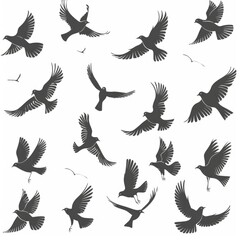 silhouette of birds flying against white background