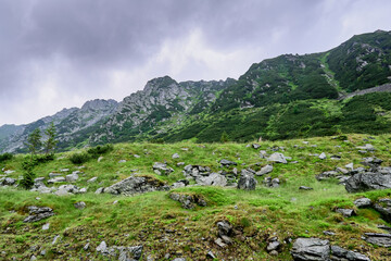 Fototapeta na wymiar Transfagarasan through the Fagaras Mountains with green vegetation