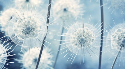 A close-up image showcases the cyanotype tone effect on a flower pom pom seed head, adding depth and texture to the photograph.