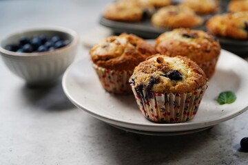 Homemade Blueberry Coffee cake muffins with streusel topping
