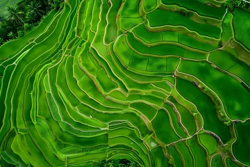 Poster rice terraces in island. Generative AI © JAEHEE