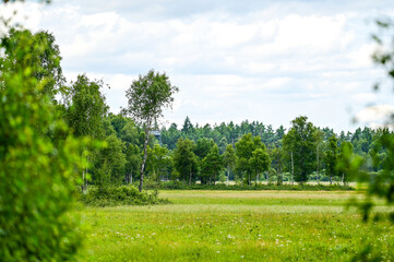 Typical landscape of the Store Mosse National Park as the largest moor area in southern Sweden with raised moors, lakes and forests, in summer, near Värnamo and Hillerstorp, Jönköping County, Smaland,