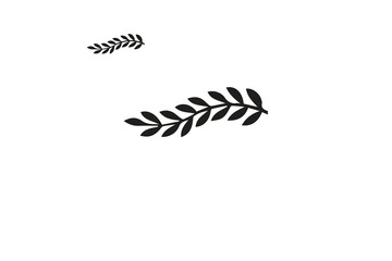 Minimal feminine botanical floral branch in silhouette style. Hand drawn wedding herb, minimalistic flowers with elegant leaves. Botanical rustic trendy greenery vector