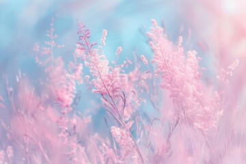 Ethereal Springtime: Delicate Pink Blooms Under Soft Blue Sky - obrazy, fototapety, plakaty