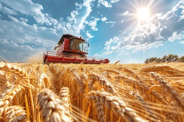 A red combine truck is actively moving through a vast wheat field, harvesting the ripe crops. The truck leaves a trail of flattened wheat behind as it advances through the field under the clear sky