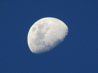 luna de atardecer  © Simon