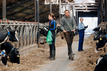 Farmer man rides electric scooter around large barn with cows. Team young woman dairy farm workers working with cattle. Concept food industry and smart farming technology © Parilov