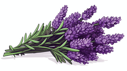 Fototapeta premium Lavender freehand draw cartoon vector illustration i