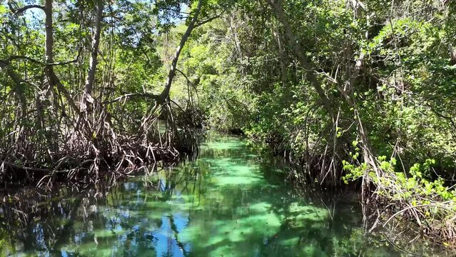 Ca&ntilde;o frio river in samana