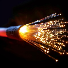 Fibre optic cable in 2024