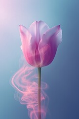 One pastel pink tulip in colorful smoke on a flat pastel background. Minimalistic abstract concept.