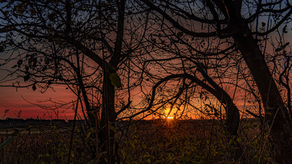 ASutumn sunset seen through trees in Podlasie.