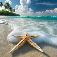 Fototapeta na wymiar a calm and beautiful view of the beach with a starfish in the foreground