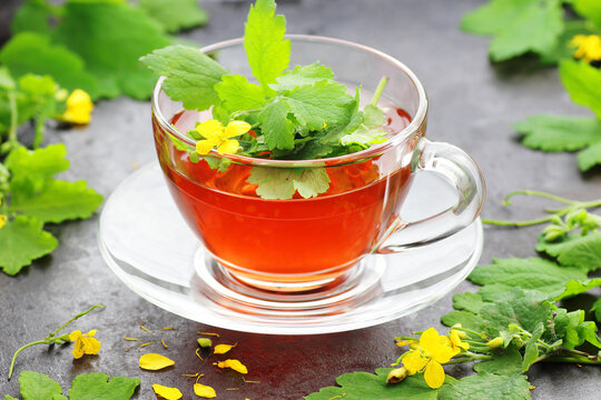 Celandine tea in glass cup with flowers and leaves, herbal infusion for skin problems and immunity