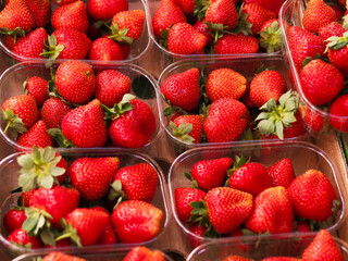 Fresh Strawberries in Clear Plastic Containers