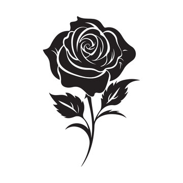 black rose silhouette, icon vector illustration on white background