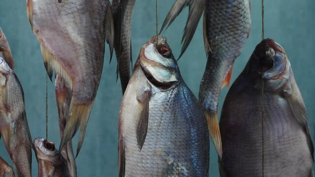 Salted fish swings in the wind on strings during drying and fermentation. Footage of amateur fishermen preparing dried fish.