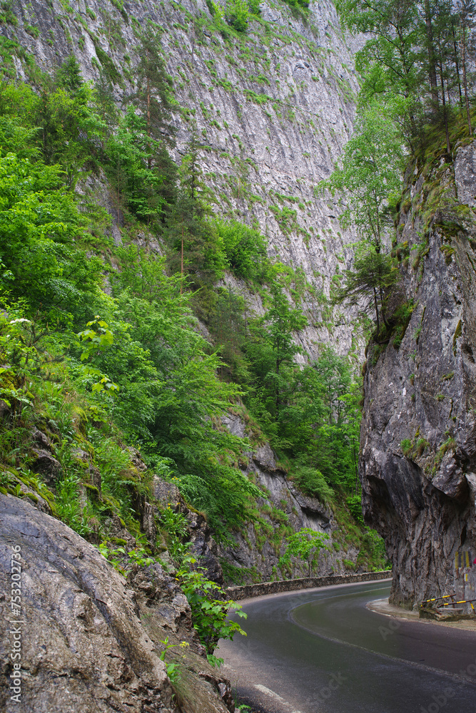 Poster amazing summer view of bicaz canyon/cheile bicazului. canyon is one of the most spectacular roads in