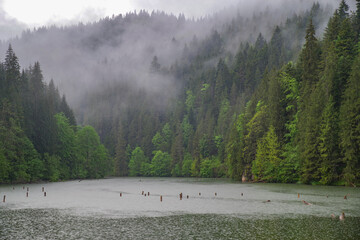 Lacu Rosu lake in Transylvania, Romania, Europe. Lacu Rosu is a popular travel destination in...
