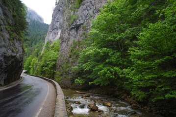 Amazing summer view of Bicaz Canyon/Cheile Bicazului. Canyon is one of the most spectacular roads...