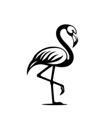 Flamingo modern isolated vector illustration
