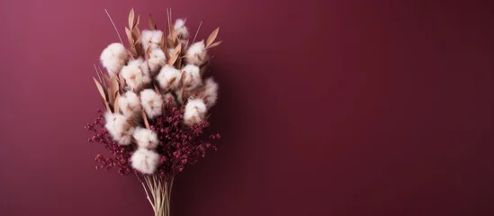 Foto op Canvas Bunny tail plant in a bouquet on a burgundy background © LukaszDesign