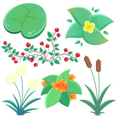 Colored vector set of illustrations with various marsh plants. Water lily, reeds, berries