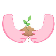 Color illustration in vector with hands holding a sprout with the ground. Plant icon with hands
