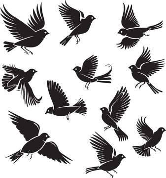 Flying birds silhouettes on white background