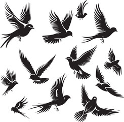 Flying birds silhouettes on white background
