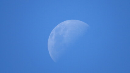 Imagens variadas da natureza