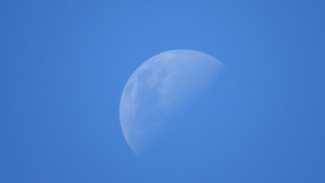 Imagens variadas da natureza