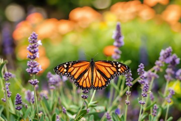 Fototapeta premium Pollinator Paradise A Butterfly Garden Flourishing with Native Plants Celebrating Biodiversity on Earth day