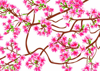 japanese cherry blossom tree sakura flowers over white wallpaper background vreated with generative ai technology