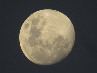 Imagens variadas da natureza