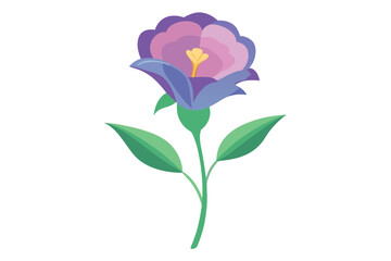 Lisianthus Flower Vector Illustration on Clean Background