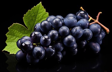 the large variety of dark purple grapes