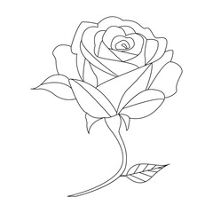 Rose single continuous one line out line vector art  drawing  and tattoo design
