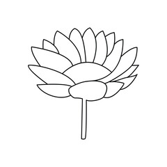 Lotus single continuous one line out line vector art  drawing  and tattoo design
