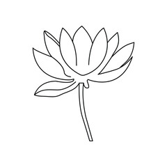 Lotus single continuous one line out line vector art  drawing  and tattoo design
