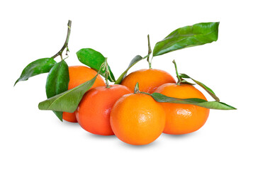 Ripe tangerines with leaves on transparent background png file. Composition of clementines with green leaves isolated with clipping path