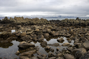 Beach of the Atlantic ocean, Westfjords, Iceland