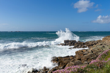 Côte rocheuse du Finistère nord en Bretagne, parée de l'élégance des Arméries maritimes en fleurs, tandis que le ressac de la mer d'Iroise caresse ses rivages
